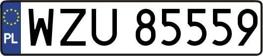 WZU85559