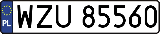 WZU85560