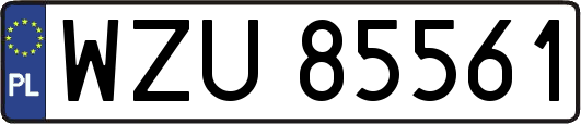 WZU85561