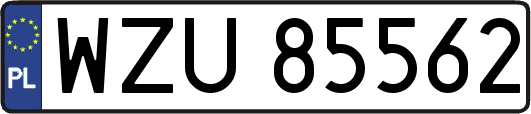 WZU85562