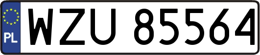 WZU85564