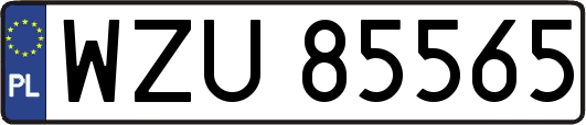WZU85565