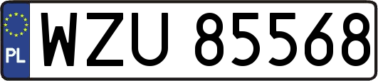 WZU85568