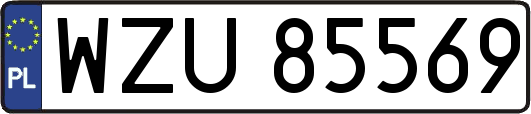 WZU85569