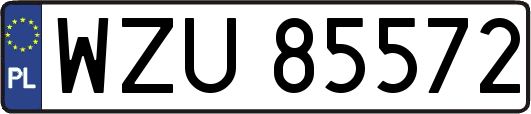 WZU85572