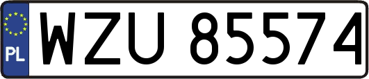 WZU85574