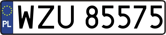 WZU85575