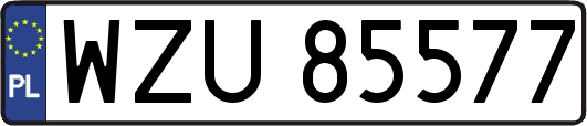 WZU85577