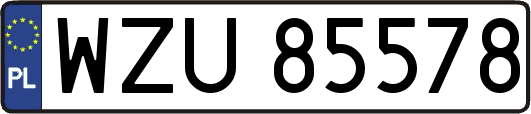 WZU85578