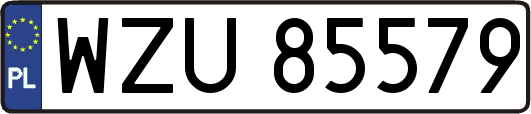 WZU85579