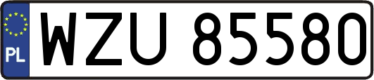 WZU85580