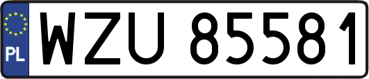 WZU85581