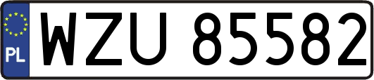 WZU85582