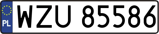 WZU85586