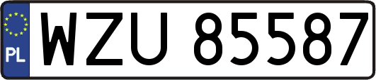 WZU85587