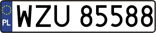 WZU85588