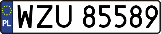WZU85589