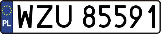 WZU85591
