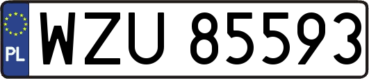 WZU85593