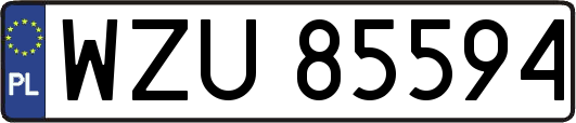 WZU85594