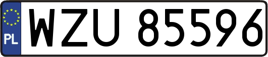 WZU85596