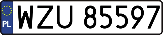 WZU85597