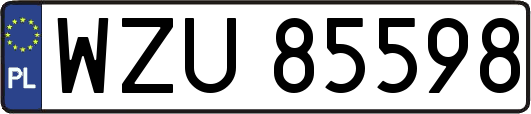 WZU85598