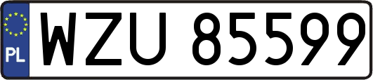 WZU85599