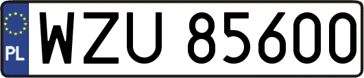 WZU85600
