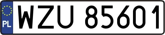 WZU85601
