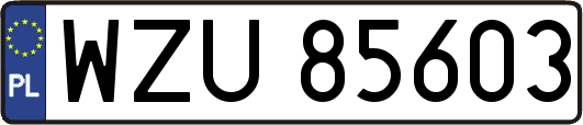 WZU85603