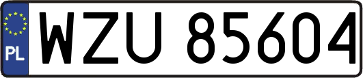 WZU85604