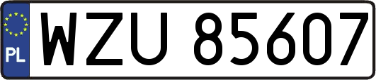 WZU85607