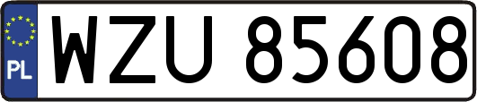 WZU85608