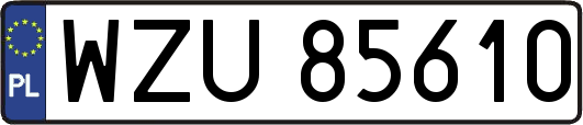 WZU85610
