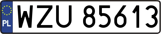 WZU85613