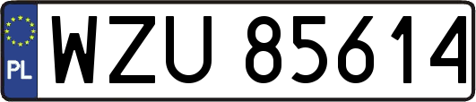 WZU85614