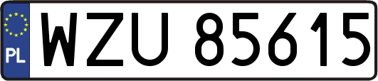 WZU85615