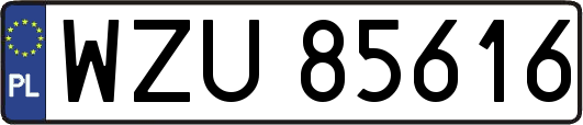 WZU85616
