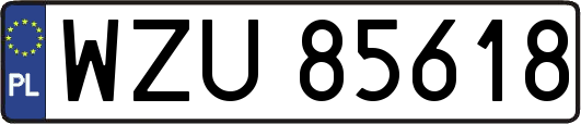 WZU85618