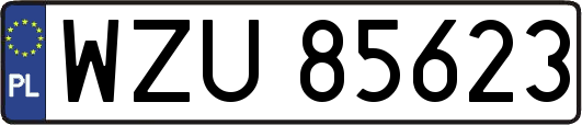 WZU85623