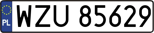 WZU85629