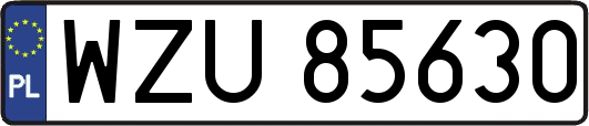 WZU85630