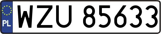 WZU85633