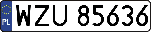 WZU85636