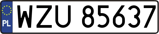 WZU85637