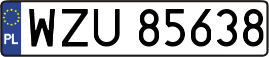 WZU85638