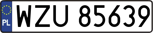 WZU85639