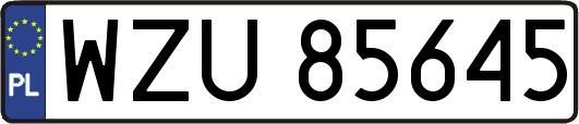 WZU85645