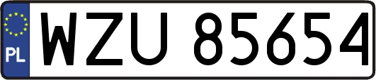 WZU85654